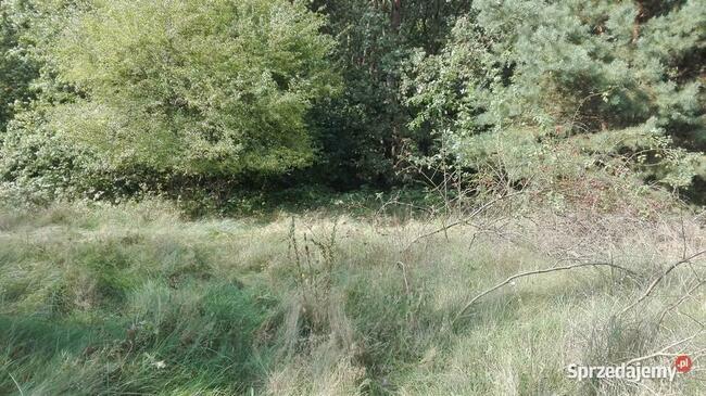 Pabianice -Janowice 1234m media en/el, woda, droga asfaltowa