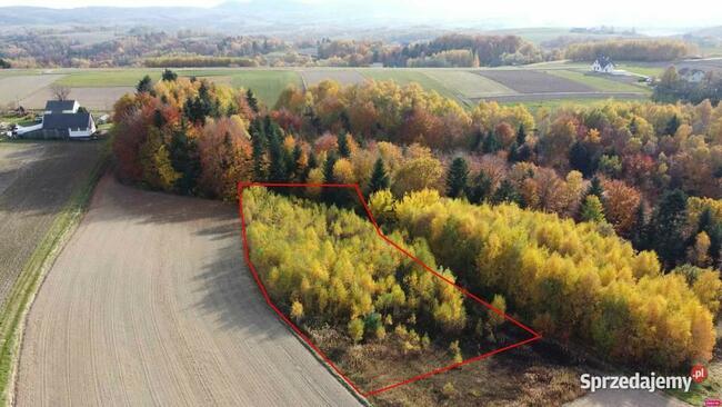 Działka rolna pod Inwestycje, rekreacje, kurs