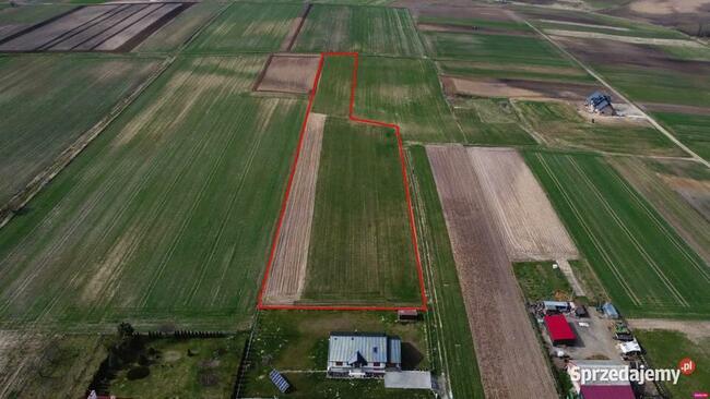 Działka budowlana-siedliskowa 1h Wola Zgłobieńska