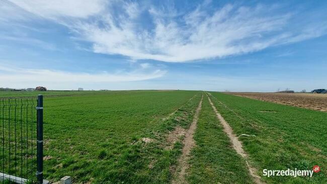 Działka budowlana-siedliskowa 1h Wola Zgłobieńska