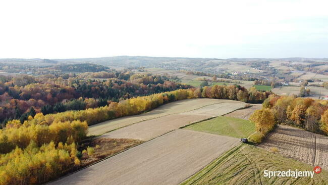 Działka rolna pod Inwestycje, rekreacje, kurs
