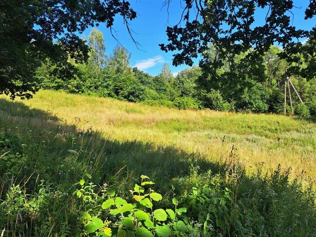 Działka rolno-budowlana o pow. 89,19 ar Uherce Mineralne