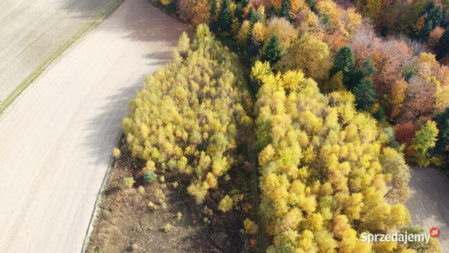 Działka rolna pod Inwestycje, rekreacje, kurs