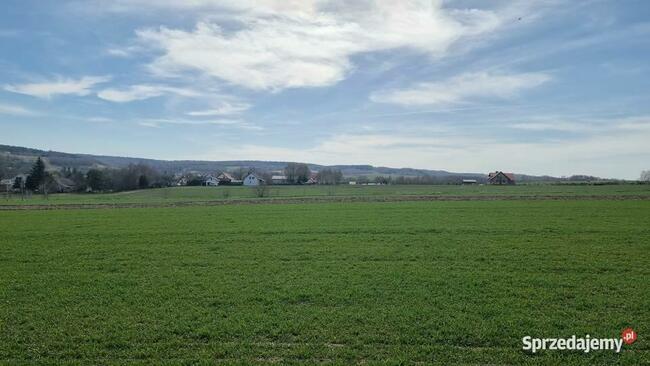 Działka budowlana-siedliskowa 1h Wola Zgłobieńska