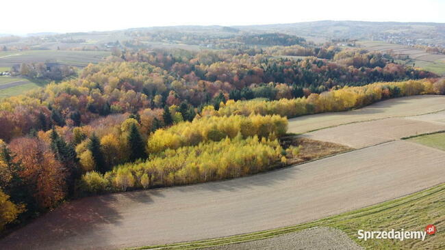 Działka rolna pod Inwestycje, rekreacje, kurs
