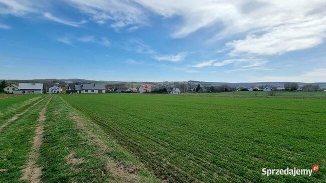 Działka budowlana-siedliskowa 1h Wola Zgłobieńska