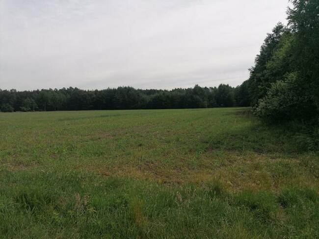 Atrakcyjny grunt idealny na budowę rezydencji