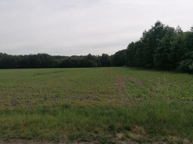 Atrakcyjny grunt idealny na budowę rezydencji