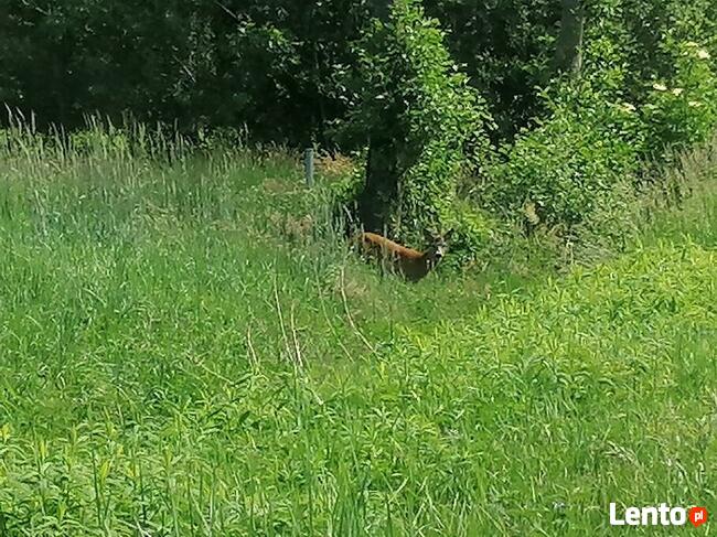 Atrakcyjny grunt idealny na budowę rezydencji