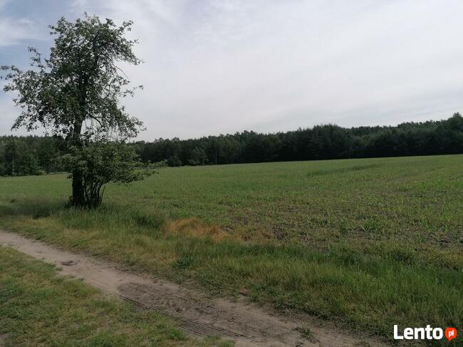 Atrakcyjny grunt idealny na budowę rezydencji