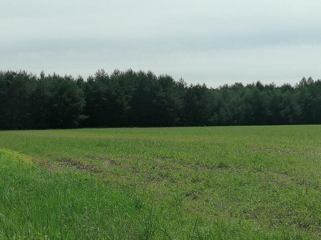 Atrakcyjny grunt idealny na budowę rezydencji