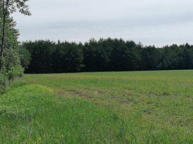 Atrakcyjny grunt idealny na budowę rezydencji