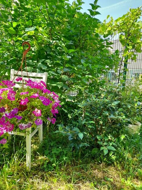 w kamienicy parter CENTRUM 60 m2 z ziemią 101,35m2 doNegocji