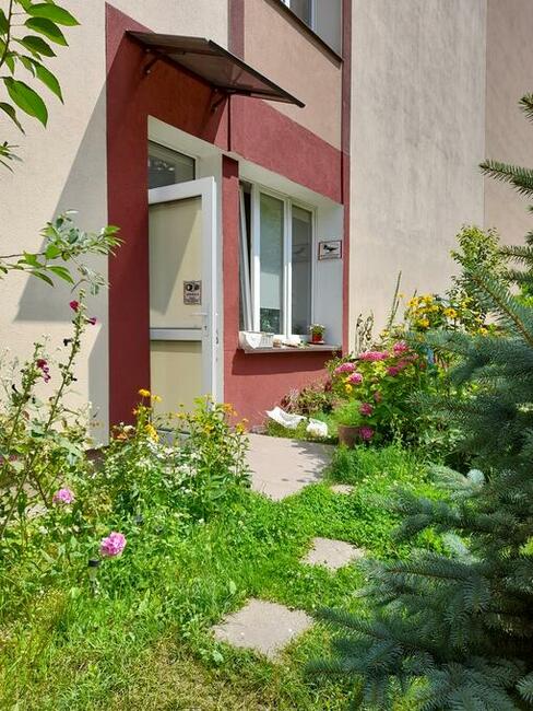 sprzedam lokal. parter CENTRUM 60 m2 z OGRODEM i parking