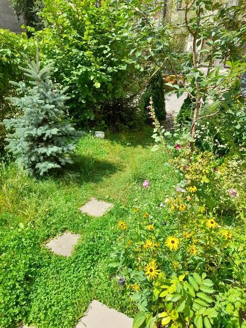 w kamienicy parter CENTRUM 60 m2 z ziemią 101,35m2 doNegocji