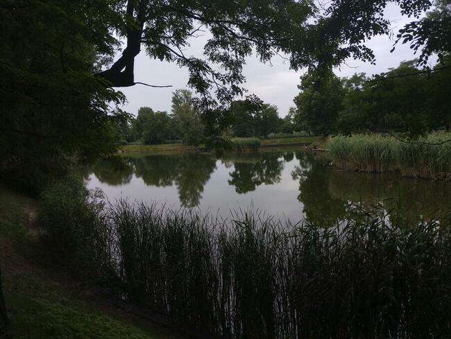 Sprzedam dom Warszawa Włochy ul. Zbocze 18