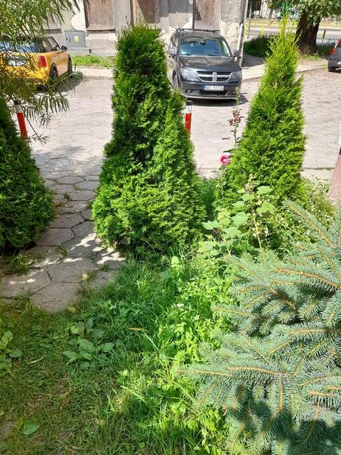 w kamienicy parter CENTRUM 60 m2 z ziemią 101,35m2 doNegocji