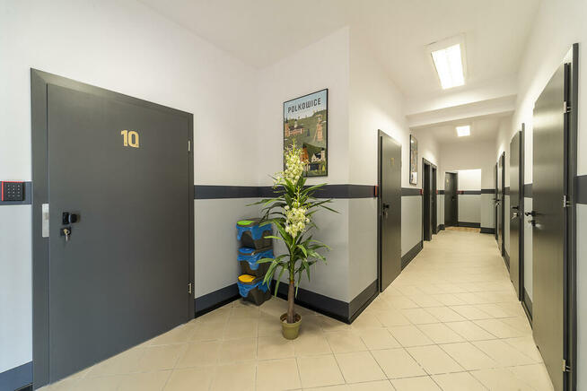 GEMS Hostel + pokoje dla pracowników - Stare Miasto