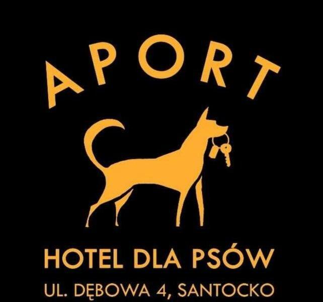 Hotel dla psów Aport