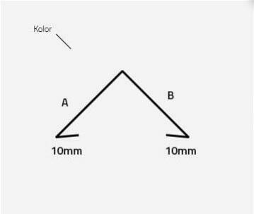 Gąsior Dachowy 2 Gatunek KUPNO