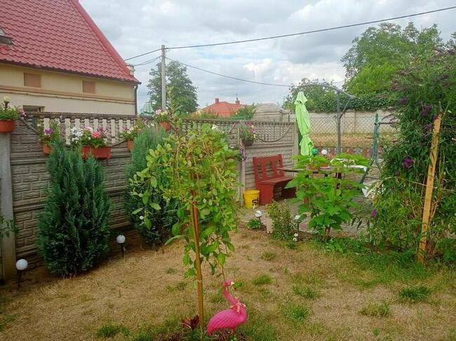 POKÓJ DO WYNAJĘCIA W GŁOGOWIE