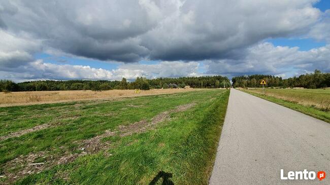 Działki Las Winiarski