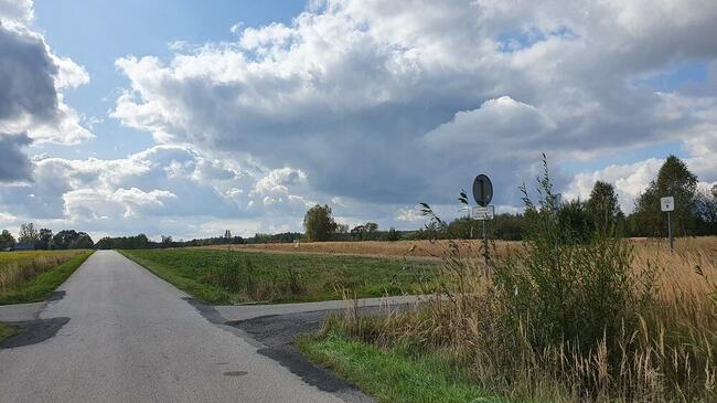 Działki Las Winiarski