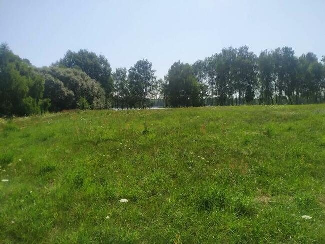 Działka w Głodowie 45 ar