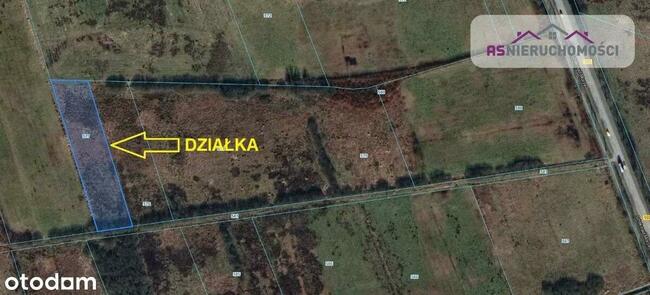 Działka w Zieleniewie, 7km od morza