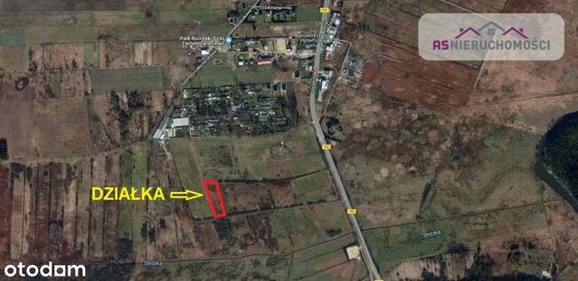 Działka w Zieleniewie, 7km od morza