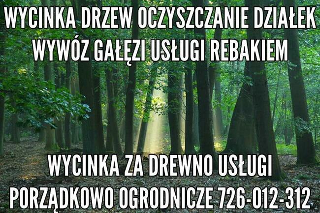 Wycinka Drzew Rebak Wywóz Gałęzi Oczyszczanie Działek