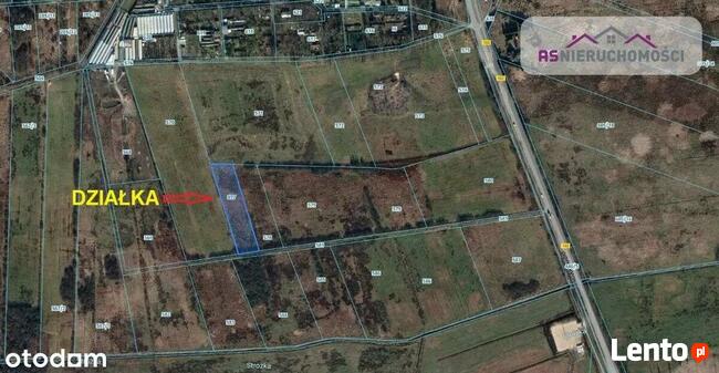 Działka w Zieleniewie, 7km od morza