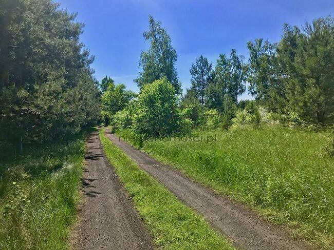 Idealna Na Ranczo, Stadninę, Siedlisko - Okolice Żyrardowa