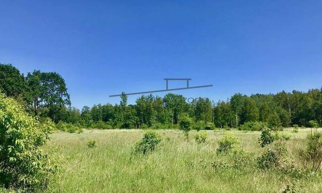 Idealna Na Ranczo, Stadninę, Siedlisko - Okolice Żyrardowa