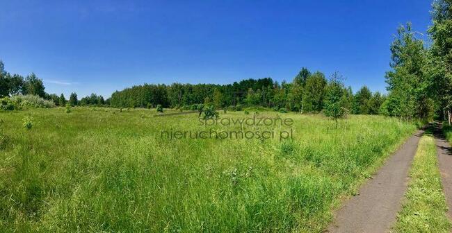 Idealna Na Ranczo, Stadninę, Siedlisko - Okolice Żyrardowa