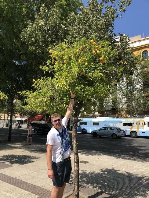 Szukam drugiej połówki