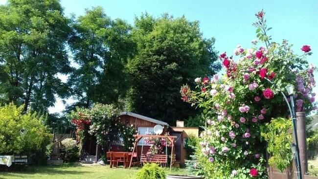 OPEN, ER 2026NOCLEGI------KOSAKOWO--------- POKOJE