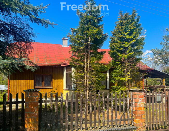 Siedlisko z drewnianym domem w Kobylanach.