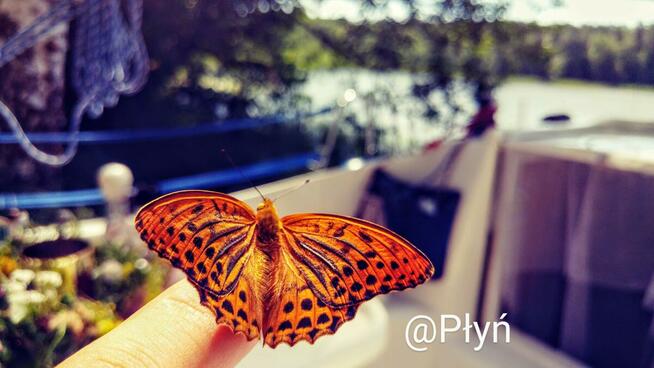 Rejs, Mazury, Wakacje, Nocleg codziennie z innym widokiem.