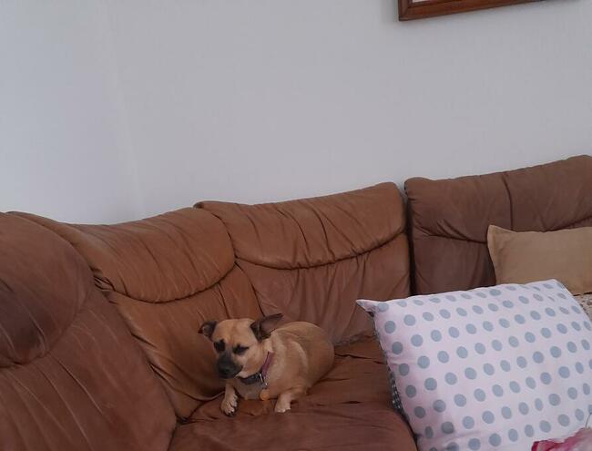 Wynajme pokoje nad Jeziorem Roznowskim