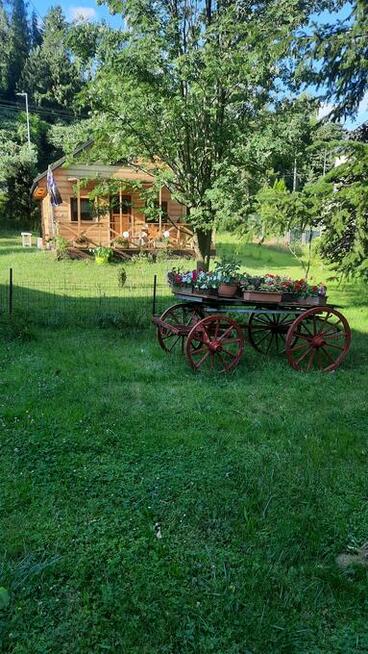 Domek pod jarzebiną