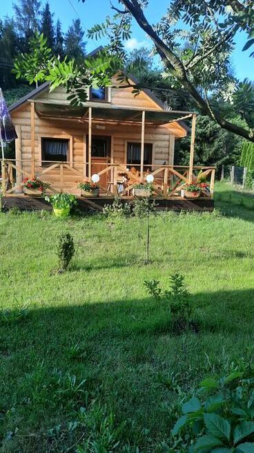 Domek pod jarzebiną