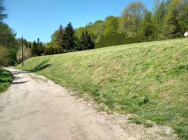 kosiarka bijakowa, koszenie trawy, karczowanie działek, rębak,