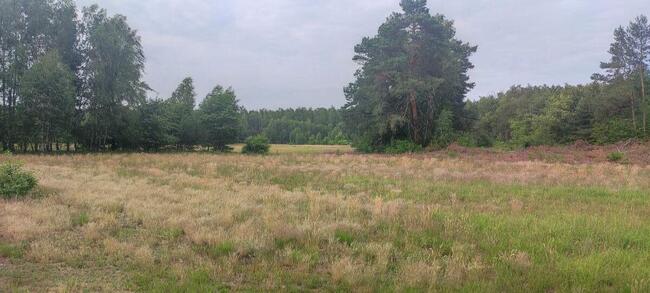 Dzialka na Sprzedaz Durlasy kolonia