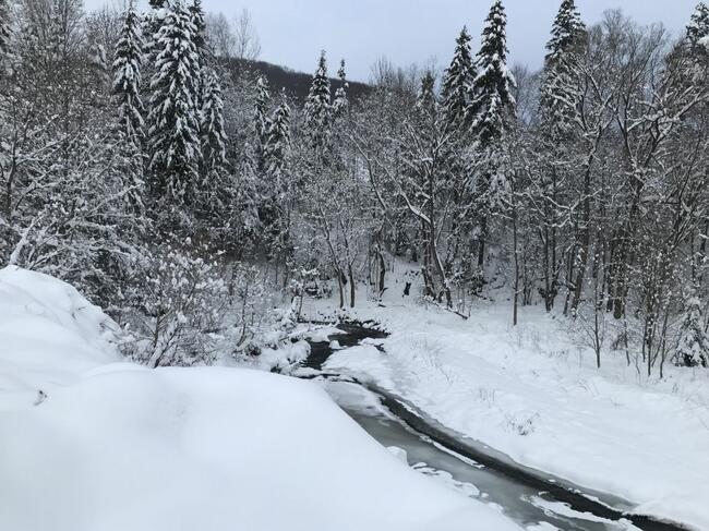 Działka rolna nad potokiem - Pewel Wielka