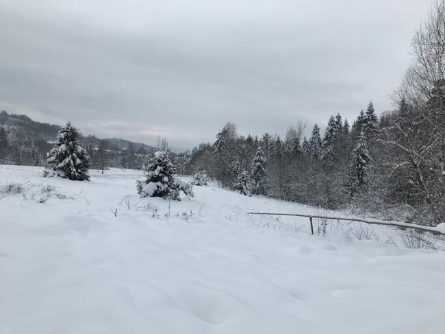 Działka rolna nad potokiem - Pewel Wielka