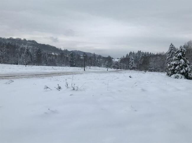 Działka rolna nad potokiem - Pewel Wielka