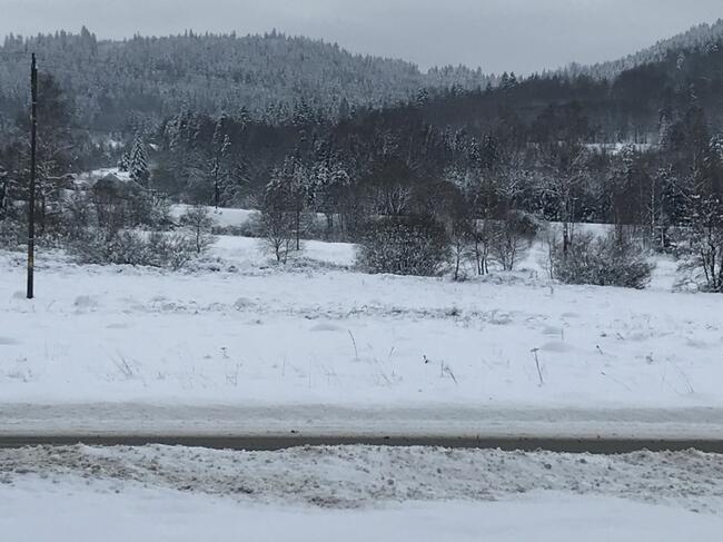 Działka rolna nad potokiem - Pewel Wielka