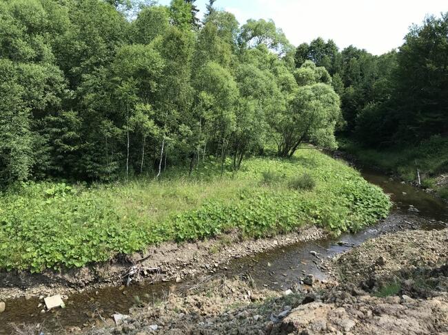 Działka rolna nad potokiem - Pewel Wielka