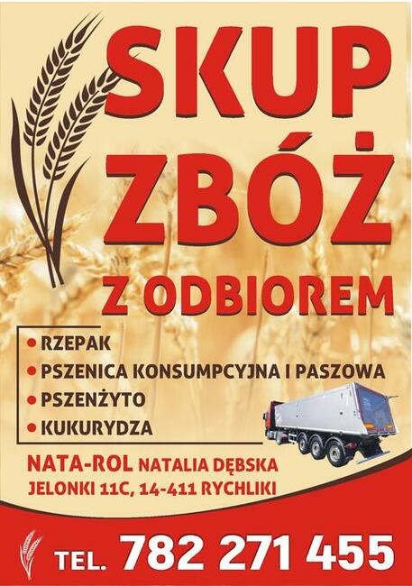 SKUP ZBÓŻ - SKUP ZBOŻA z odbiorem Nata-Rol